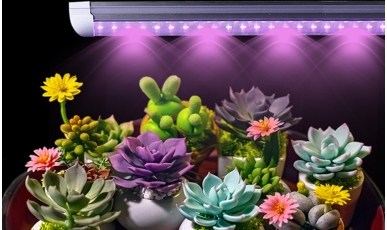 LED Plants Growth Lights